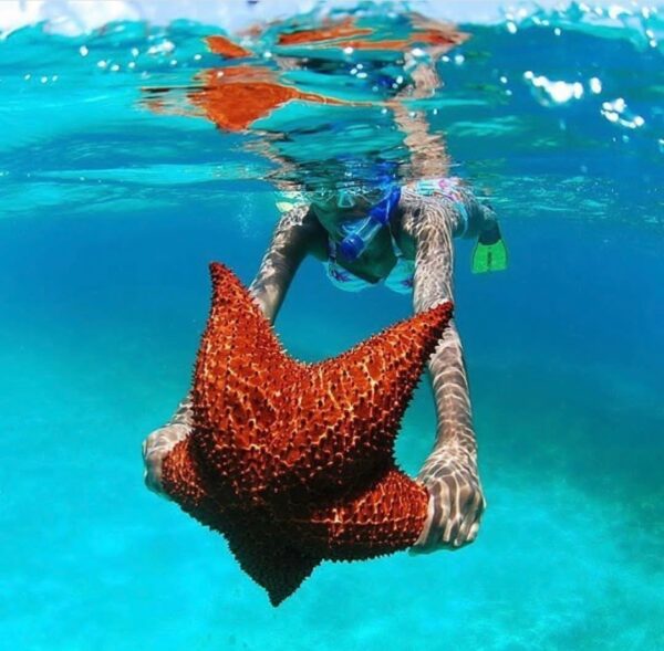 Tour Isla Saona - Image 11