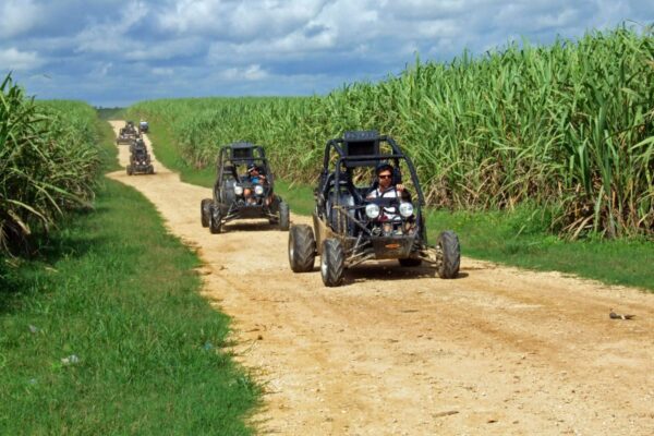 Excursión en Buggy - Image 5