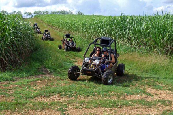 Excursión en Buggy - Image 3