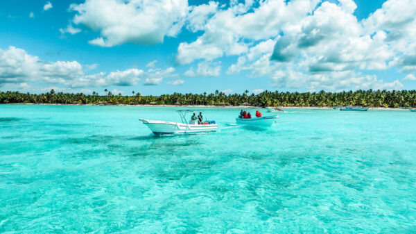 Tour Isla Saona - Image 7