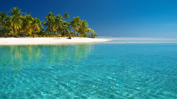 Tour Isla Saona - Image 8
